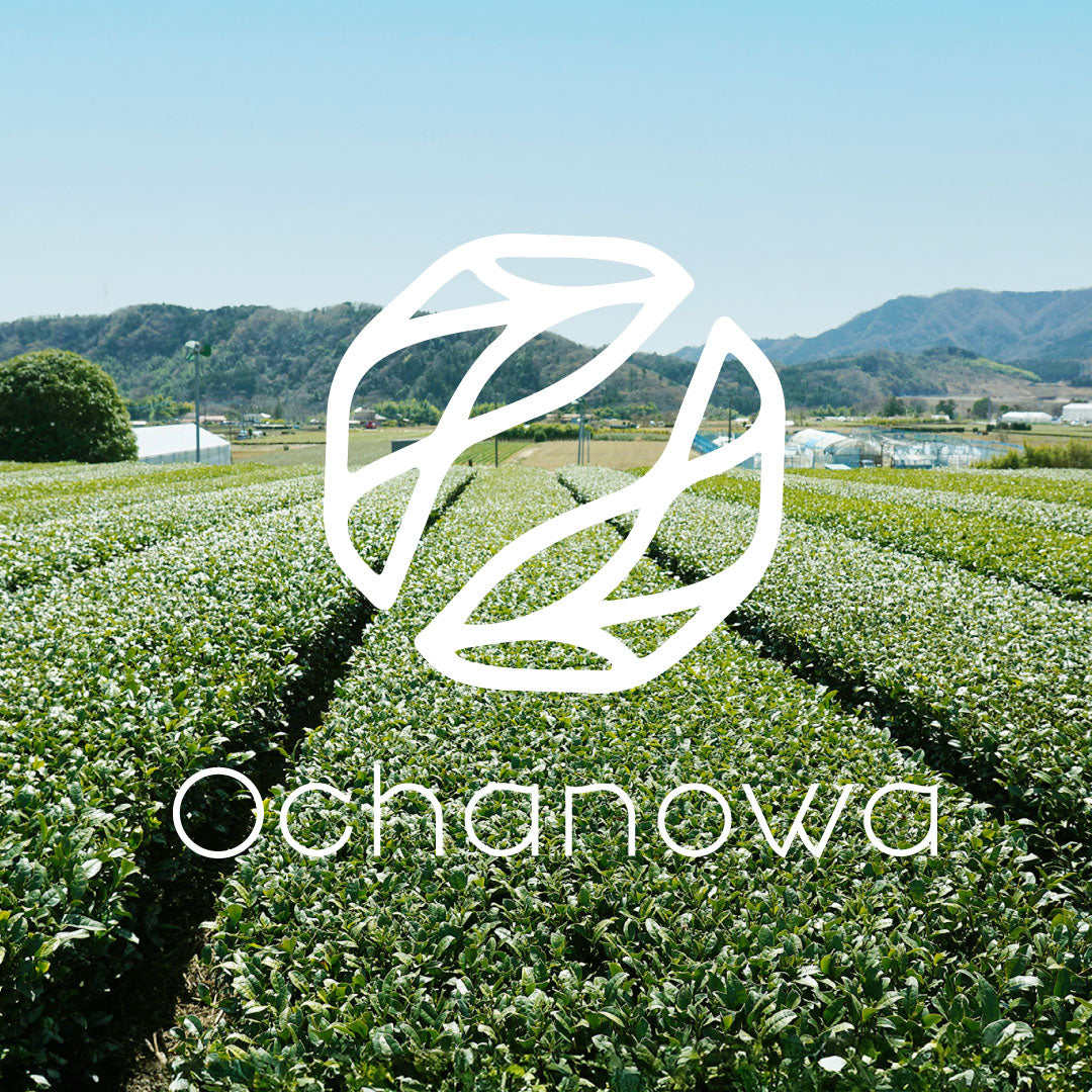 Ochanowaメディア掲載のお知らせ