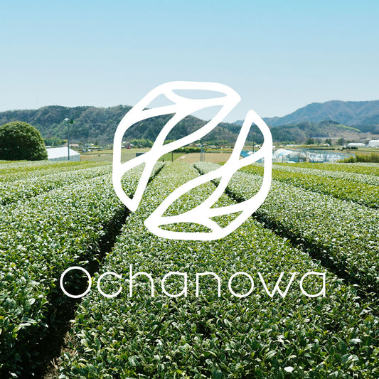 Ochanowaメディア掲載のお知らせ