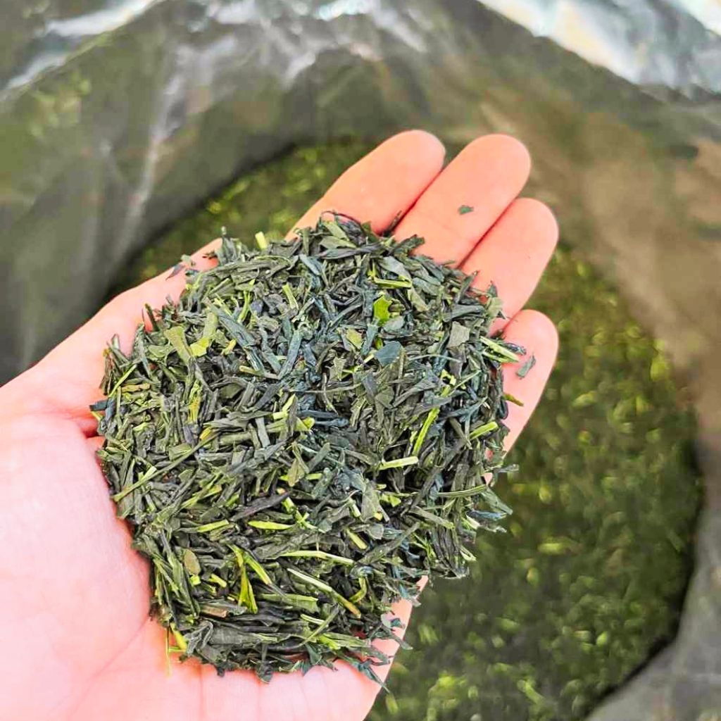 めでる茶(愛川町産自社茶園の有機煎茶)　80g/袋